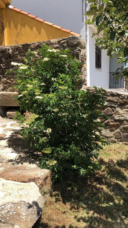 منزل الضيف Navasequilla  في Casa Sierra De Gredos المظهر الخارجي الصورة