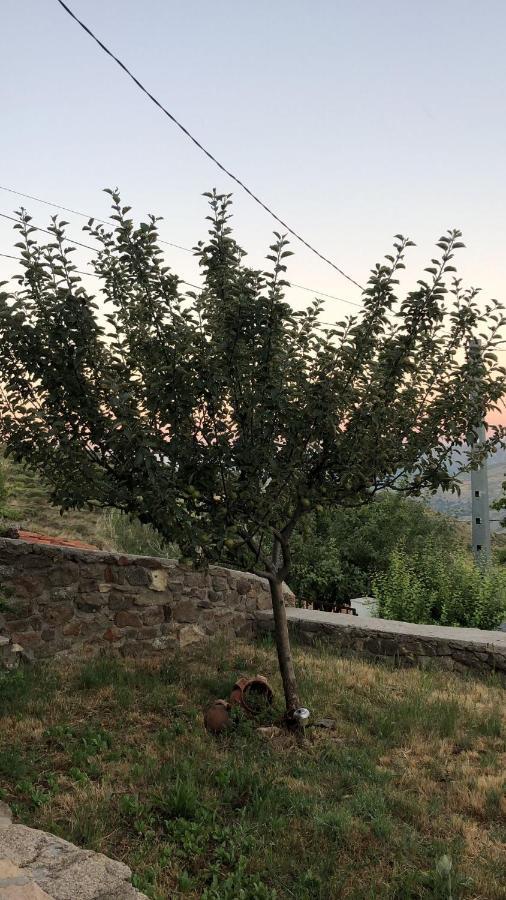 منزل الضيف Navasequilla  في Casa Sierra De Gredos المظهر الخارجي الصورة